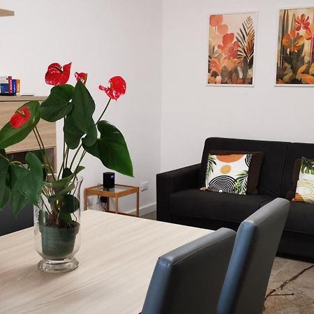 Vatican & Aurelia Apartments 로마 외부 사진